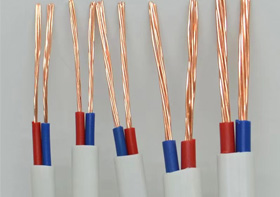 ZC-BVVB（2類 ）型號：2芯（0.5mm&sup2;&sup2;～16mm&sup2;&sup2;）